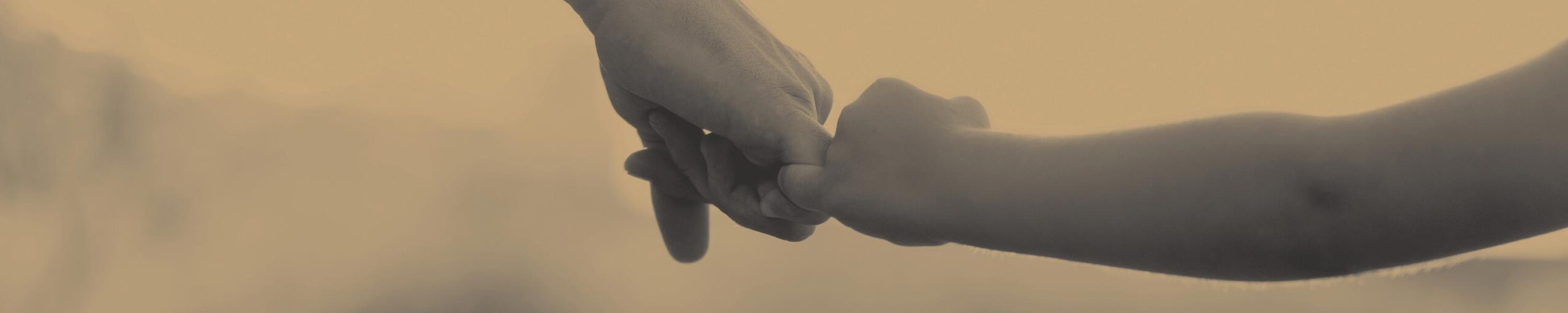 Genesis.Edge.Banner-Parenting-Disputes